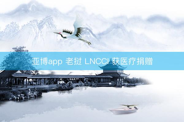 亚博app 老挝 LNCCI 获医疗捐赠