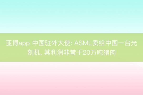 亚博app 中国驻外大使: ASML卖给中国一台光刻机, 其利润非常于20万吨猪肉